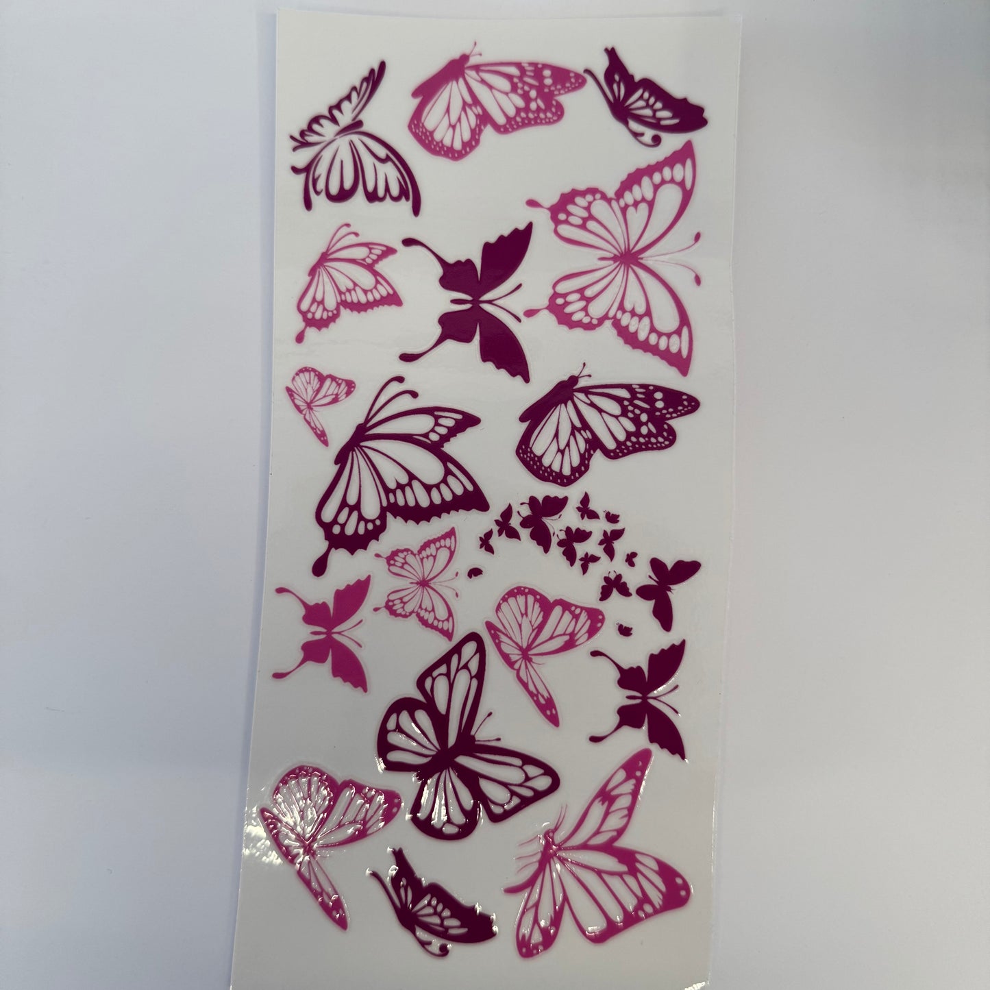 Schmetterlings Folie