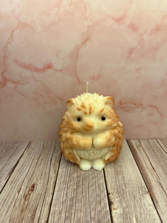 2 Farbiger Igel